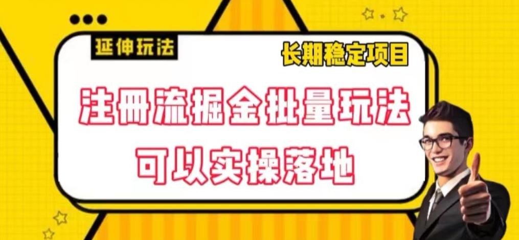 注册流掘金批量玩法，可以实操落地【揭秘】-搞钱日记