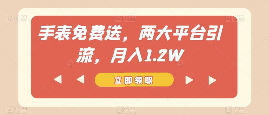 手表免费送，两大平台引流，月入1.2W【揭秘】-搞钱日记