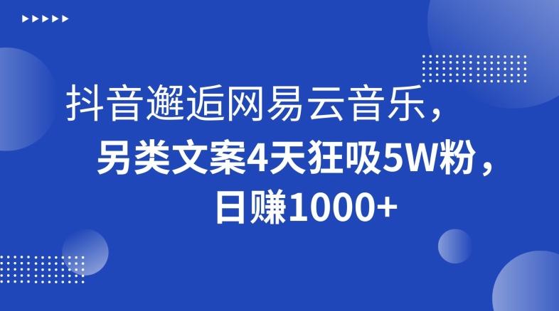 抖音邂逅网易云音乐，另类文案4天狂吸5W粉，日赚1000+【揭秘】-搞钱日记