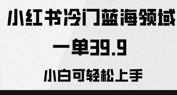 小红书冷门蓝海领域，一单39.9，小白可轻松上手-搞钱日记