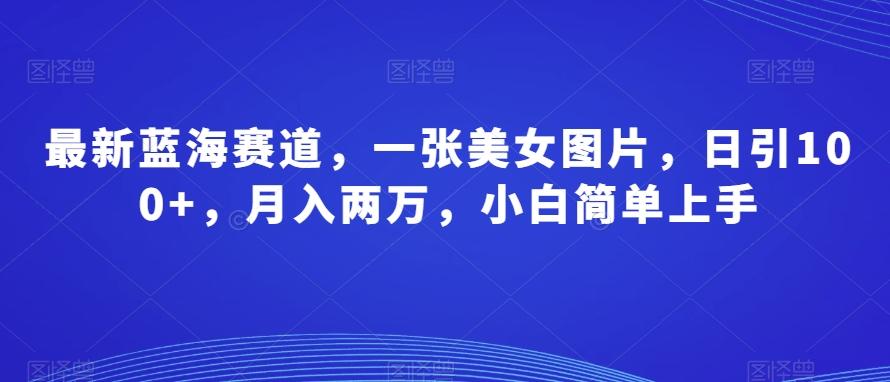 最新蓝海赛道，一张美女图片，日引100+，月入两万，小白简单上手-搞钱日记