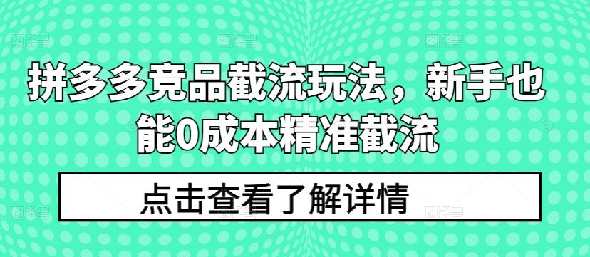 拼多多竞品截流玩法，新手也能0成本精准截流-搞钱日记