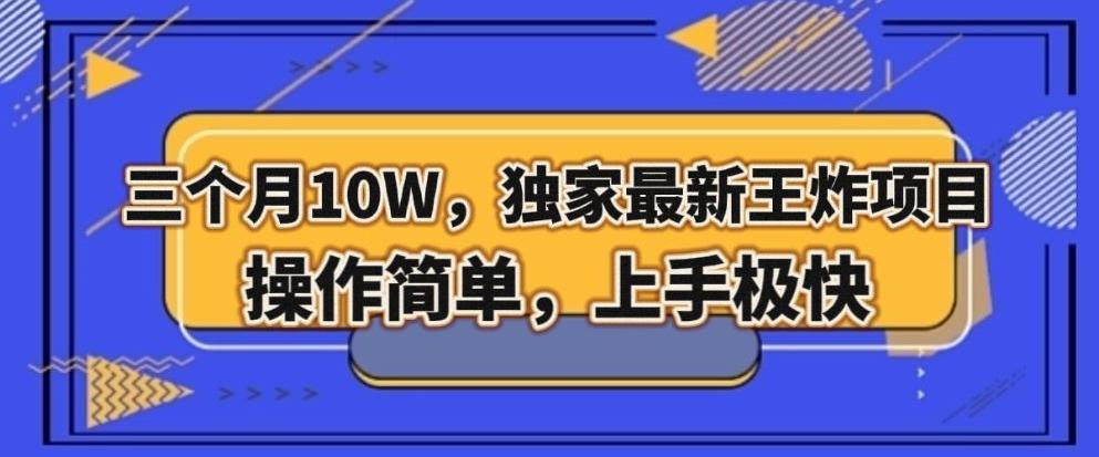 三个月10W，独家最新王炸项目！操作简单，上手极快【揭秘】-搞钱日记
