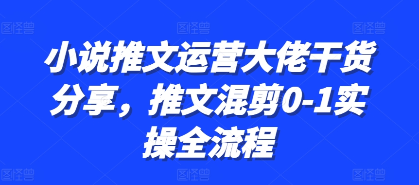 小说推文运营大佬干货分享，推文混剪0-1实操全流程-搞钱日记