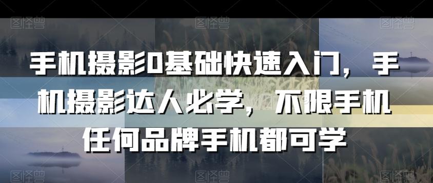 手机摄影0基础快速入门，手机摄影达人必学，不限手机任何品牌手机都可学-搞钱日记