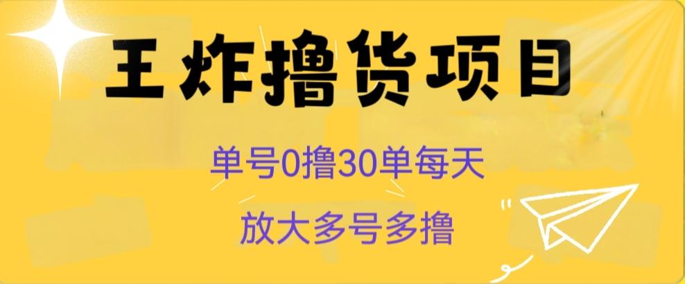 王炸撸货项目，单号0撸30单每天，多号多撸【揭秘】-搞钱日记