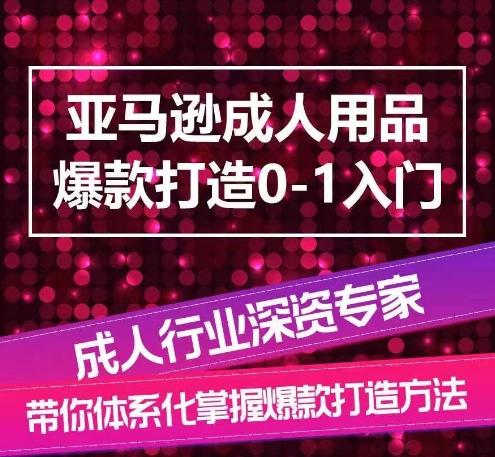 亚马逊成人用品爆款打造0-1入门，系统化讲解亚马逊成人用品爆款打造的流程-搞钱日记