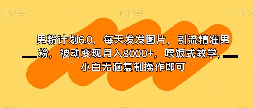 男粉计划6.0，每天发发图片，引流精准男粉，被动变现月入8000+，喂饭式教学，小白无脑复制操作即可-搞钱日记