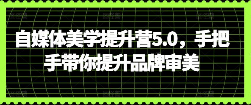 自媒体美学提升营5.0，手把手带你提升品牌审美-搞钱日记
