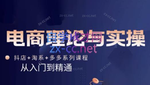 磊子·电商理论与实操(抖店+淘系+拼多多)-搞钱日记