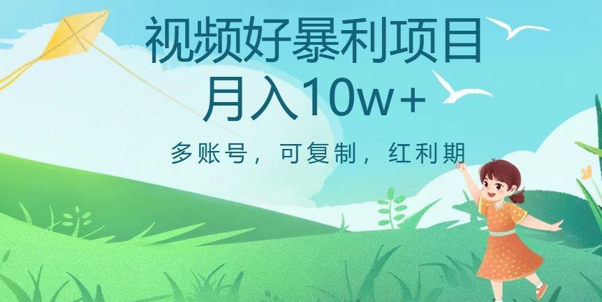 外边收费699项目，视频号暴利项目，多账号可复制，红利期-搞钱日记