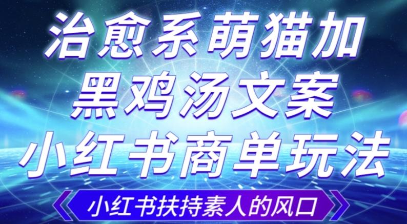 治愈系萌猫加+黑鸡汤文案，小红书商单玩法，3~10天涨到1000粉，一单200左右-搞钱日记