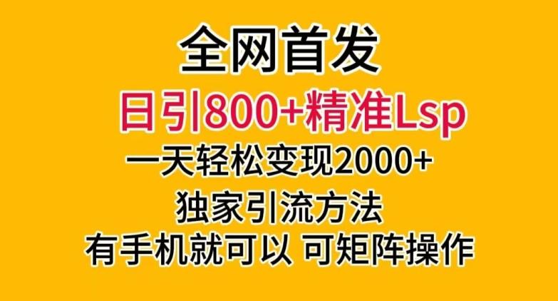 全网首发！日引800+精准老色批，一天变现2000+，独家引流方法，可矩阵操作【揭秘】-搞钱日记