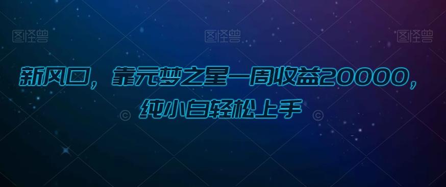 新风口，靠元梦之星一周收益20000，纯小白轻松上手-搞钱日记