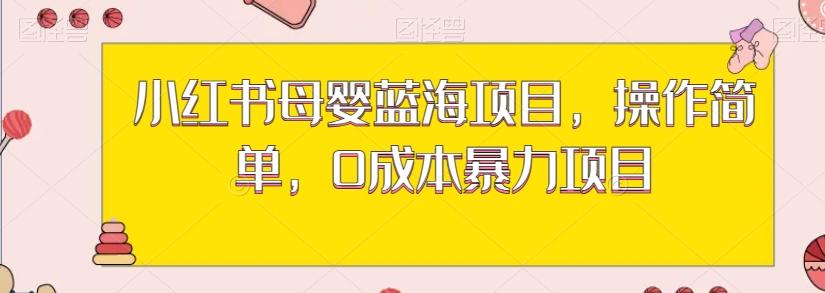 小红书母婴蓝海项目，操作简单，0成本暴力项目-搞钱日记