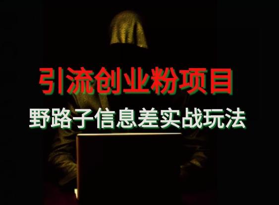 【引流创业粉】野路子信息差玩法实战教学-搞钱日记
