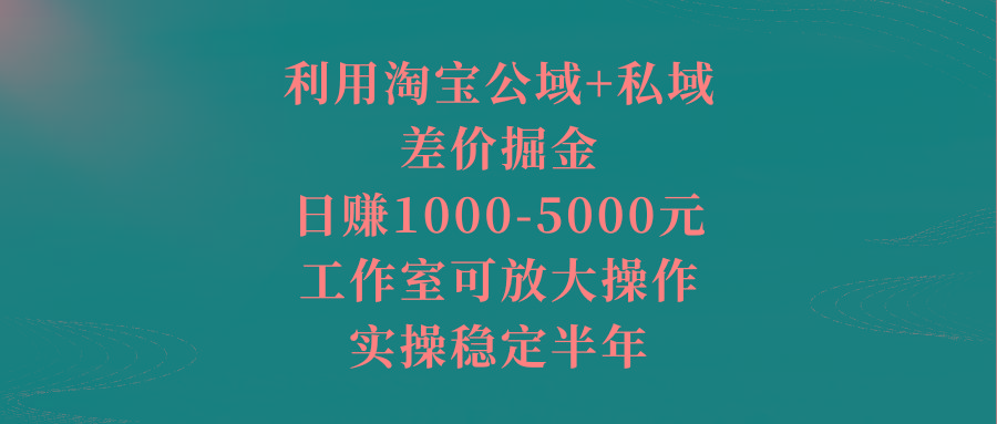 利用淘宝公域+私域差价掘金，日赚1000-5000元，工作室可放大操作，实操...-搞钱日记