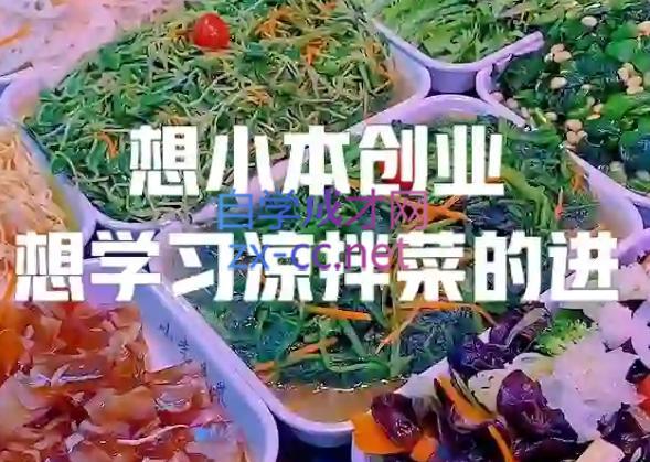 李记·精品凉拌菜系列热卤系列教程-搞钱日记