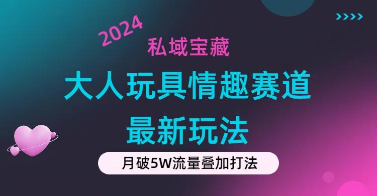 私域宝藏：大人玩具情趣赛道合规新玩法，零投入，私域超高流量成单率高-搞钱日记