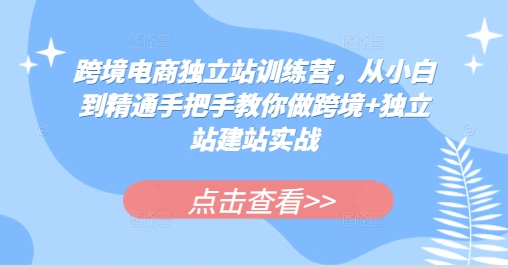 跨境电商独立站训练营，从小白到精通手把手教你做跨境+独立站建站实战-搞钱日记