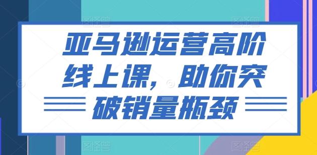 亚马逊运营高阶线上课，助你突破销量瓶颈-搞钱日记