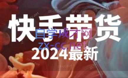 快手带货(2024最新)-搞钱日记