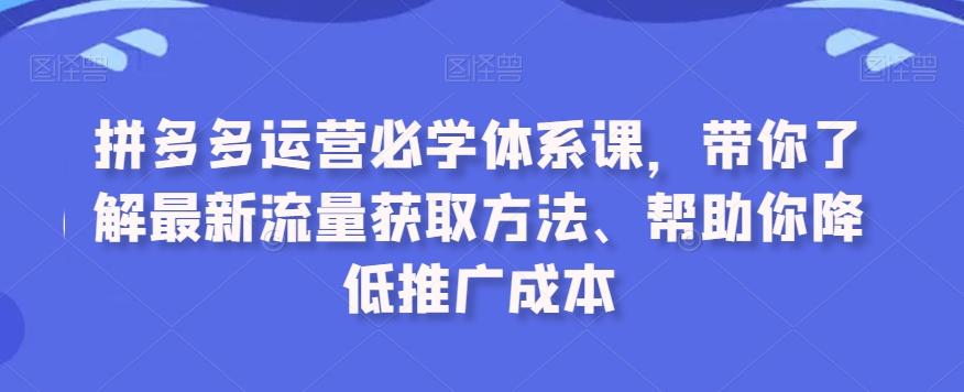 拼多多运营必学体系课，带你了解最新流量获取方法、帮助你降低推广成本-搞钱日记