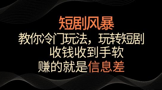 短剧风暴，教你冷门玩法，玩转短剧，收钱收到手软【揭秘】-搞钱日记