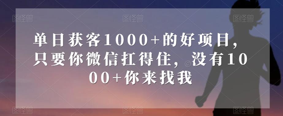单日获客1000+的好项目，只要你微信扛得住，没有1000+你来找我【揭秘】-搞钱日记