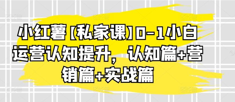 小红薯【私家课】0-1小白运营认知提升，认知篇+营销篇+实战篇-搞钱日记