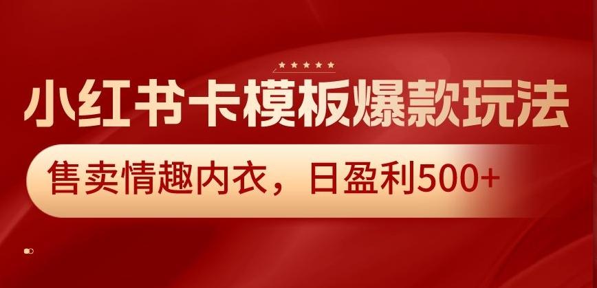 小红书卡模板爆款玩法，售卖情趣内衣，日盈利500+【揭秘】-搞钱日记