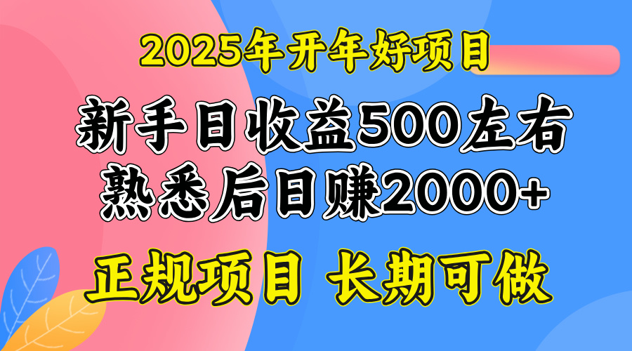 2025开年好项目，单号日收益2000左右-搞钱日记