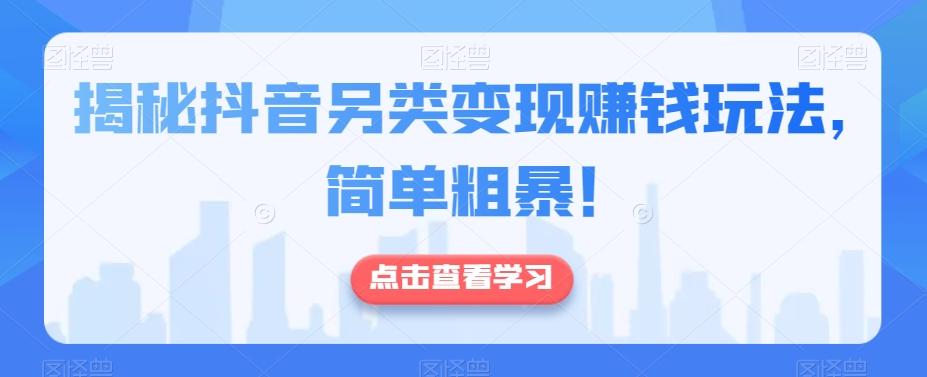 揭秘抖音另类变现赚钱玩法，简单粗暴！-搞钱日记