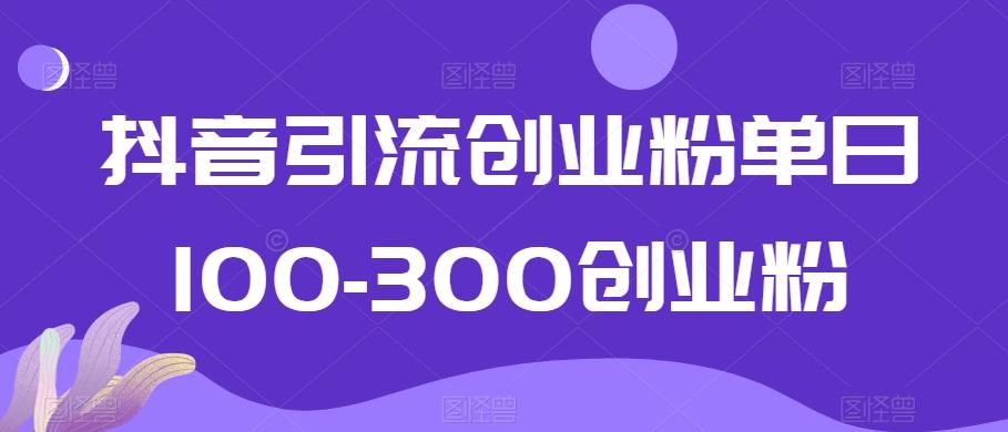 抖音引流创业粉单日100-300创业粉【揭秘】-搞钱日记