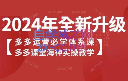 海神老师·拼多多运营必学体系课-搞钱日记