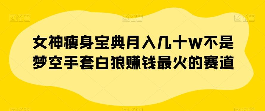 女神瘦身宝典月入几十W不是梦空手套白狼赚钱最火的赛道【揭秘】-搞钱日记