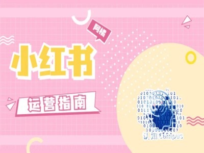 小红书运营指南，没有套路，全是经验-搞钱日记