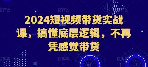 2024短视频带货实战课，搞懂底层逻辑，不再凭感觉带货-搞钱日记