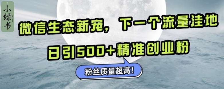 微信生态新宠小绿书：下一个流量洼地，日引500+精准创业粉，粉丝质量超高-搞钱日记
