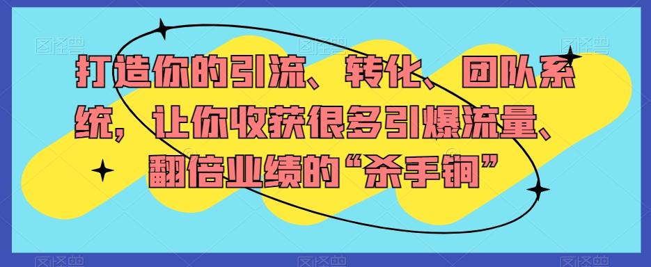 打造你的引流、转化、团队系统，让你收获很多引爆流量、翻倍业绩的“杀手锏”-搞钱日记