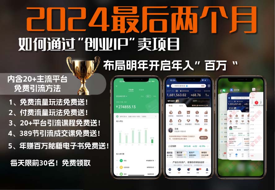 2024最后两个月如何通过”创业IP“卖项目年入”百万“,创业IP+最强引流...-搞钱日记