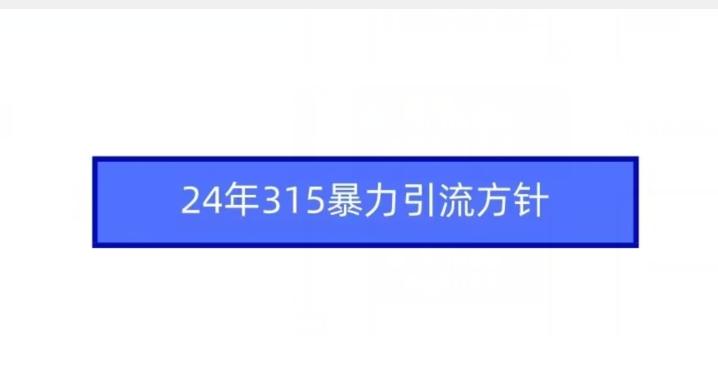 24年315暴力引流方针-搞钱日记