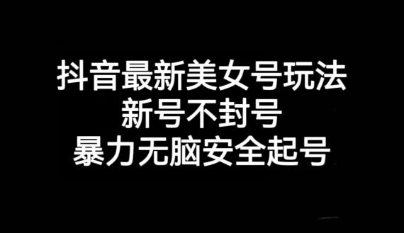抖音最新美女号玩法，新号不封号，暴力无脑安全起号【揭秘】-搞钱日记