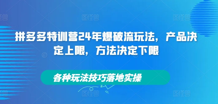 拼多多特训营24年爆破流玩法，产品决定上限，方法决定下限，各种玩法技巧落地实操-搞钱日记