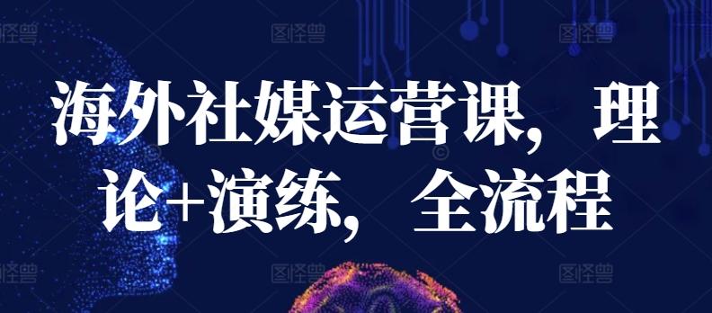 海外社媒运营课，理论+演练，全流程-搞钱日记