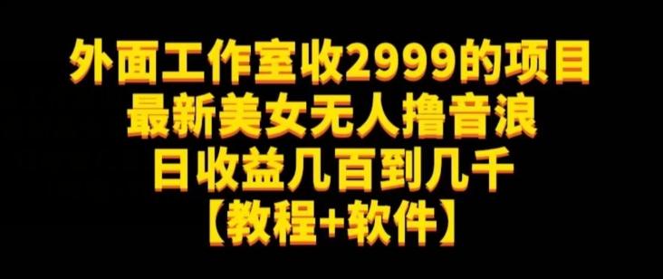 外面工作室收2999的项目最新美女无人撸音浪日收益几百到几千【教程+软件】（仅揭秘）-搞钱日记
