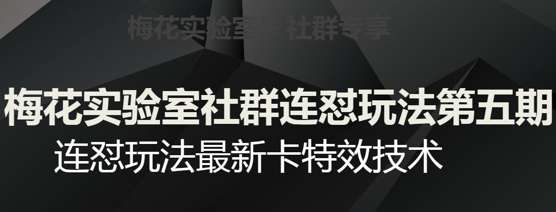 梅花实验室社群连怼玩法第五期，视频号连怼玩法最新卡特效技术-搞钱日记