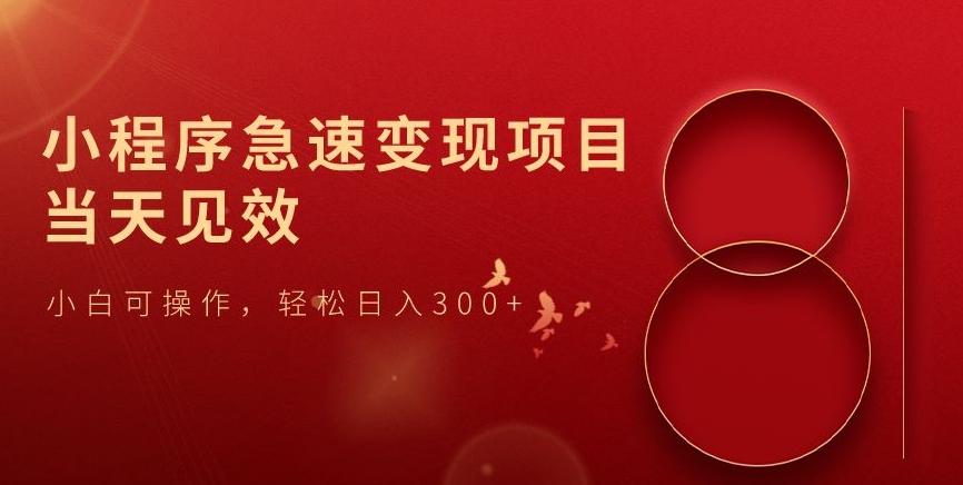 小程序急速变现项目，当天见效，小白可操作，轻松日入300+-搞钱日记