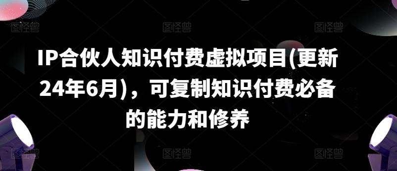 IP合伙人知识付费虚拟项目(更新24年6月)，可复制知识付费必备的能力和修养-搞钱日记