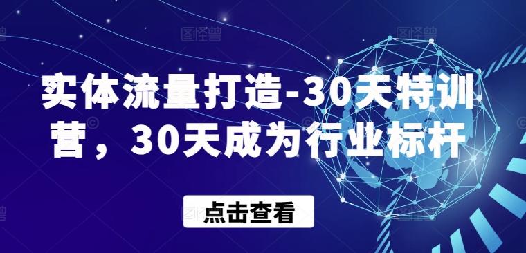 实体流量打造-30天特训营，30天成为行业标杆-搞钱日记